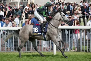 Races Prints: Diamond Orchid
