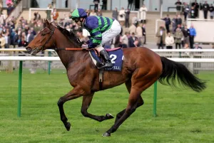 Newmarket Prints: Dizzy Dreamer