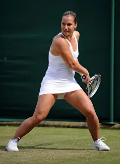 Dominika Cibulkova