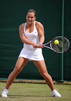 Dominika Cibulkova