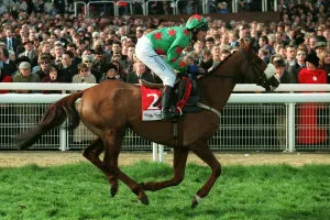 Carberry Prints: Dorans Pride