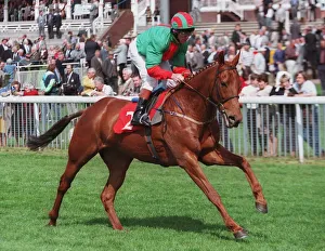 Racehorse Prints: Double Blue