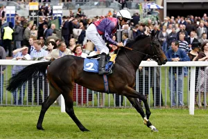 Ahern Prints: Dubai Princess