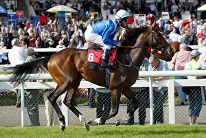 Hills Prints: Dubai Success