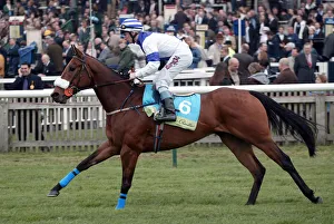 Guineas Prints: Dubaian Gift