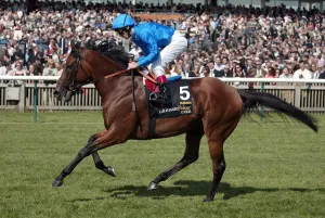 Nemarket Prints: Dubawi