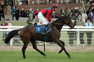 Races Prints: Duke Of Buckingham