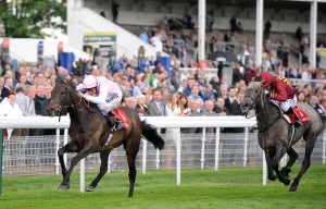 Duncan Ridden By William Buick Wins Ahead Of Manighar Ridden Duncan Ridden By William Buick Wins Ahead Of Manighar Ridden