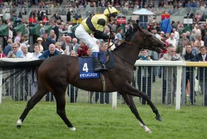 Races Prints: Dunloskin