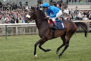 Guineas Prints: Echoes In Eternity