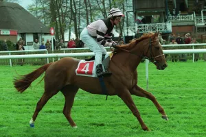 Ellway Star