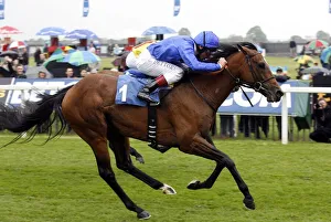 Dettori Prints: Emirates Skyline