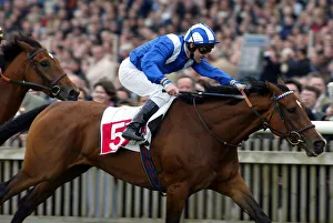 Guineas Prints: Esloob