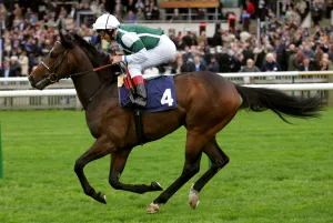 Dettori Prints: Excellent Art