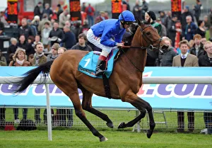 Dettori Prints: Be Fabulous