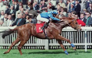 Hills Prints: Fahris Wins Feilden Stakes 97