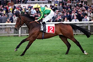 Newmarket Prints: Fair Question