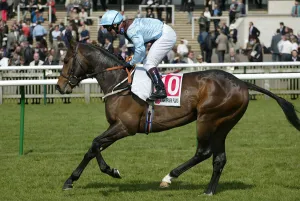 Darley Prints: Falcon Hill