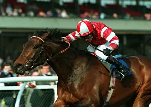 Darley Prints: Farini