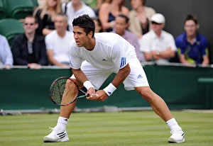 Fernando Verdasco