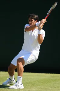 Fernando Verdasco