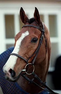 Racehorse Prints: Fiddlers Pike
