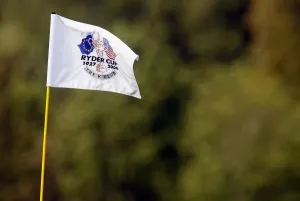 Flag Stick