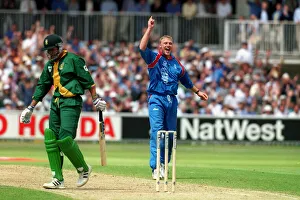 Flintoff Prints: Flintoff Celebrates Cronje Wkt