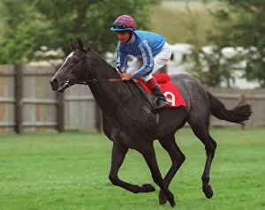 Eddery Prints: The Fly