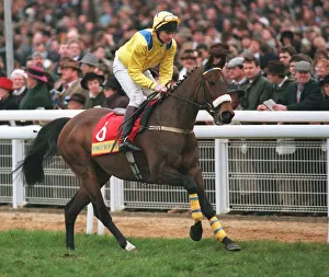 Racehorse Prints: Fortune & Fame