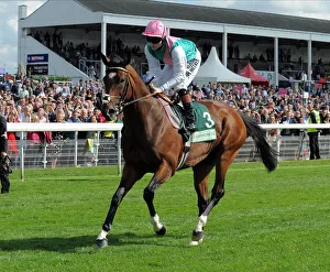 Frankel With Jockey Tom Queally