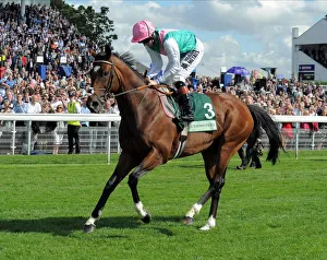 Frankel With Jockey Tom Queally