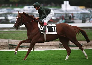 Racehorse Prints: Always Friendly Ridden A Munro