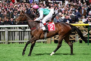 Newmarket Prints: Fully Invested