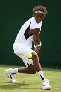 Gael Monfils