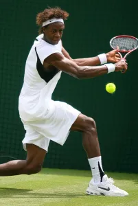 Gael Monfils