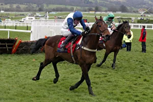 Ahead Prints: Galileo Ahead, Over The Bar