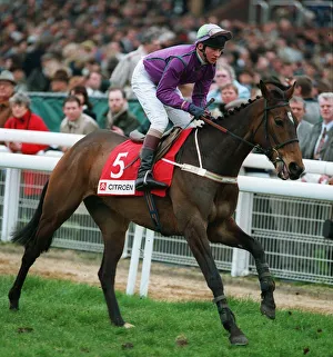 Racehorse Prints: Gambolling Doc