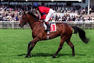 Eddery Prints: Gargalhada