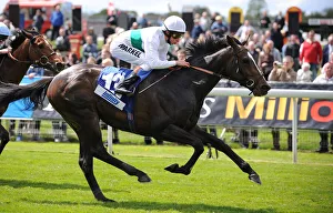 Horse Racing Prints: Gatewood