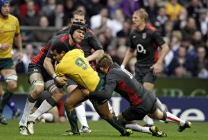 Toby Prints: Will Genia, Tom Palmer & Toby Flood