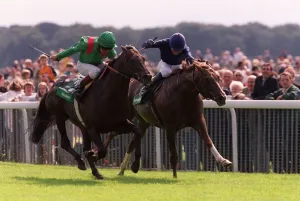 Giant Causeway & Kalanisi