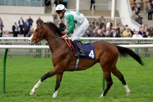 Craven Prints: Gin Jockey