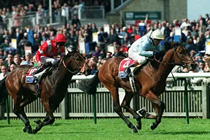 2000 Prints: Golan Wins, Tamburlain Second