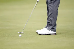 Annes Prints: Golfer Misses Putt
