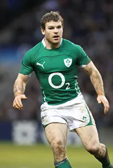 Gordon Prints: Gordon D Arcy