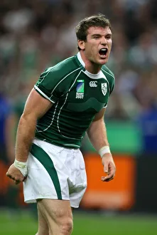 Gordon D Arcy