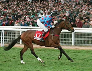 Racehorse Prints: Greenback