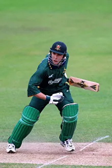 Nottinghamshire Prints: Guy Welton