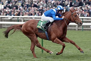Haafhd Wins Craven Stakes 2004